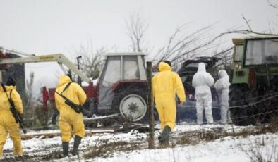 35 yıl sonra ilk kez görüldü! Almanya hükümetinden olağanüstü önlem