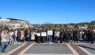 Diyarbakır’da Rojin Kabaiş İçin Adalet Talebi