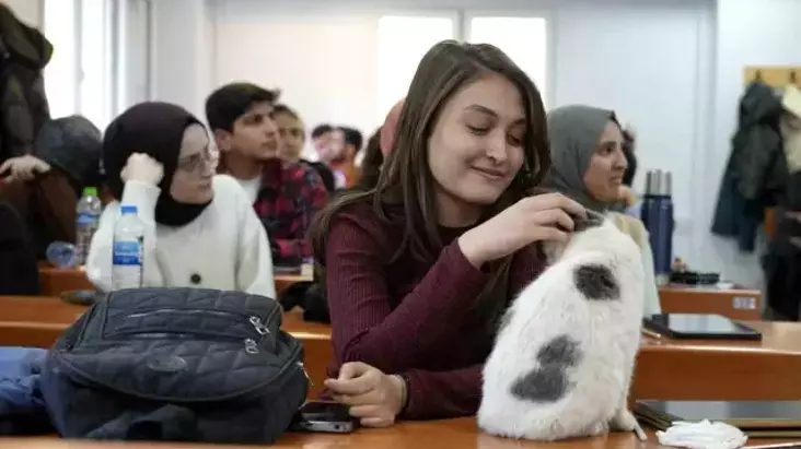 Adıyaman Üniversitesi’nin Sevimli Maskotu: Labne